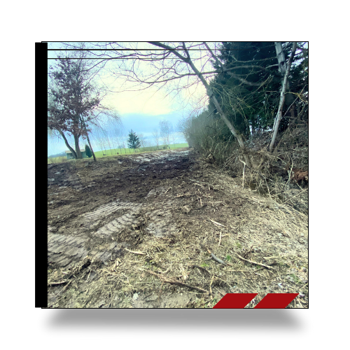 broyage forêt seule après